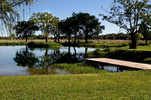 Imagen 11 de 11 de Venta Lote - El Campo - Fincas Exclusivas Cardales