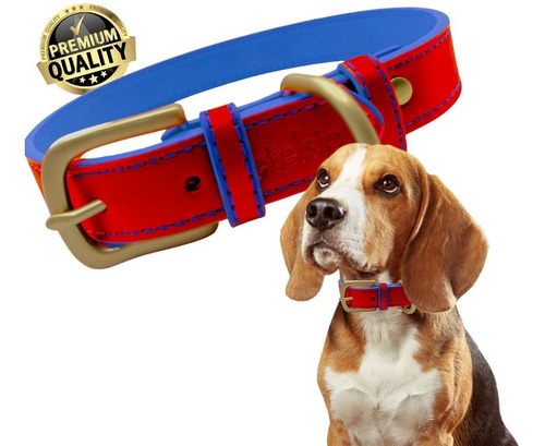 Collar Para Perros Tipo Piel Ajustable Mediano / Grande Color Azul/rojo Bicolor