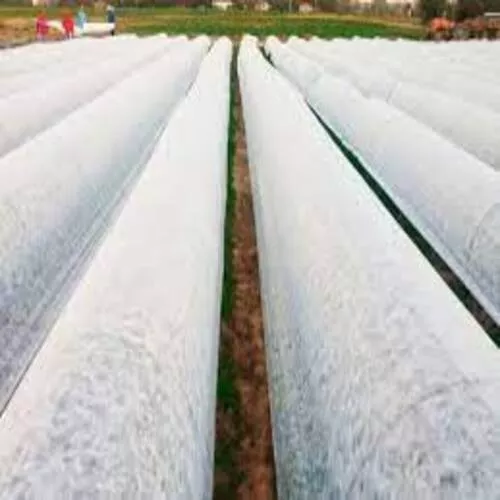 La popularidad de la manta térmica en la agricultura - INVERNAVELO tela  termica