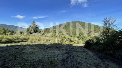 Imagen 18 de 27 de Terreno En Venta Salazar, Estado De México