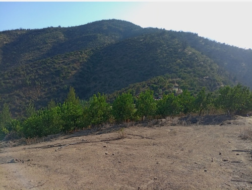 Sitio En Cerro, La Aurora Curacaví, Parcela De 5000 Mt.