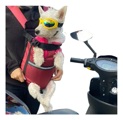 Mochila homologada perro moto sales