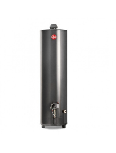 Termotanque Rheem 160l Alta Potencia