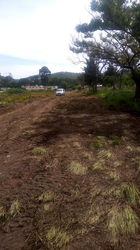 Lote En Venta En Comitan