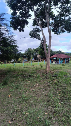 Leandro Araque Inzitu Realtors Vende Terreno Agrosturistico Con Oportunidad De Inversión Única En Nirgua Yaracuy Transforma Tu Sueño En Realidad