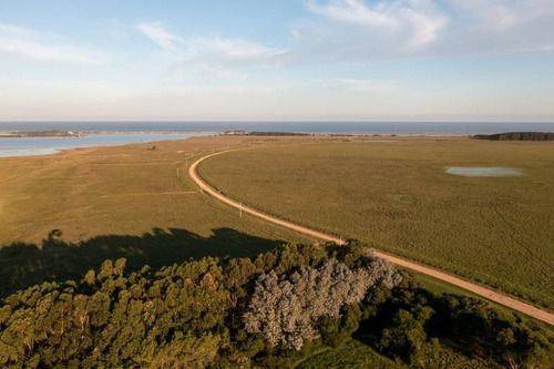 Imagen 5 de 30 de Campos O Chacras Venta José Ignacio