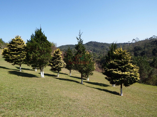 Imagem 12 de 25 de Chácara Perfeita Para Moradia 16.000 M² Piscina Linda Casa