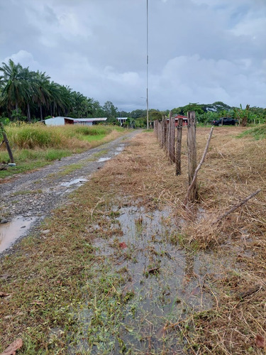 Vendo Precioso Lote Cerca De 20 Playas Paraisíacas