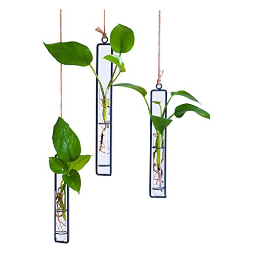 3 Piezas De Colgador De Plantas Hidropónicas De Vidrio...