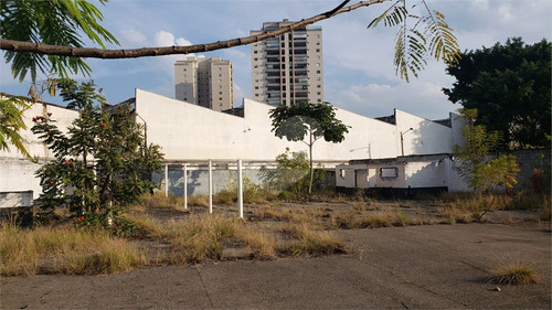 Imagem 15 de 16 de Terreno 2726,60m² Região De Santo Amaro - Reo586524