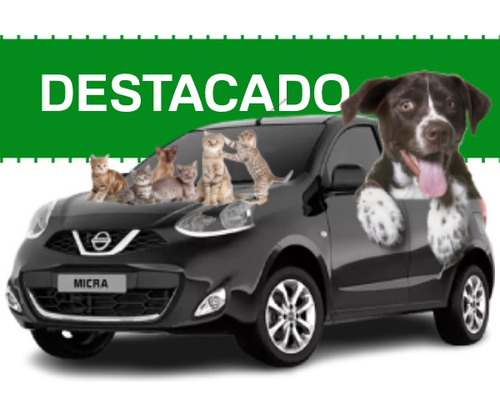 Imagen 1 de 11 de Traslado De Mascotas
