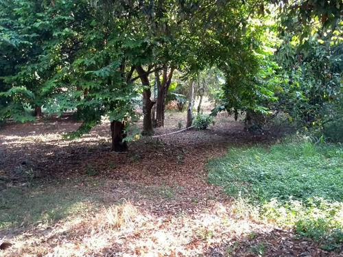 Imagem 8 de 10 de Rural - Venda - Parque Ortolândia - Cod. Ch0018 - Vch0018