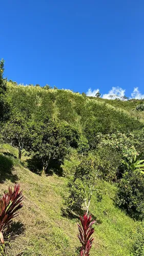 Finca En Venta En Vereda La Chorrera. Cod V12492
