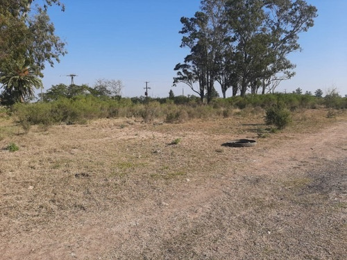 Imagen 2 de 3 de Vendo Excelente Parcela De 1.5 Hectarea!!!