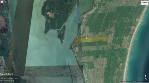 Venta Rancho 100 Has Frente A La Laguna De Tamiahua Veracruz