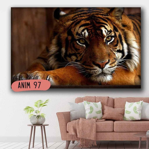 Imagen 5 de 10 de Cuadro Tigre Animales 50x70 Otros Diseños Tela Canvas