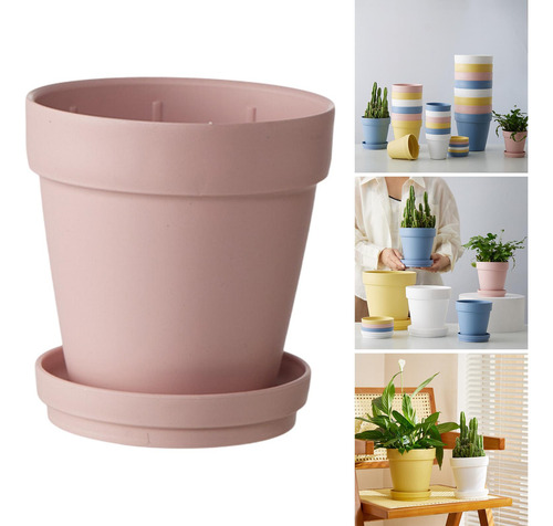 Planta De Maceta De Flores De Flor, Novedad, Olla De Vivero