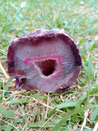 Geoda De Cuarzo Ágata Rosada