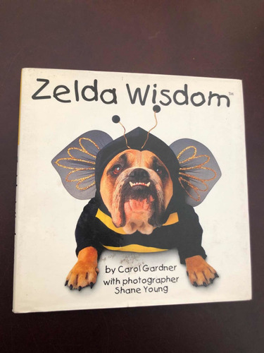 Libro Zelda Wisdom - Carol Gardner - Muy Buen Estado