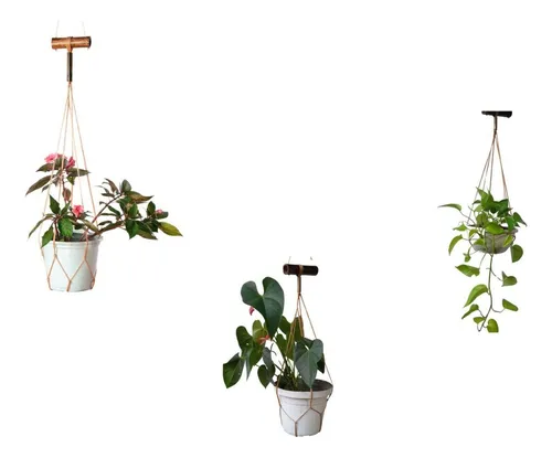 comprar Kit 3 Quero Pendurar Vaso Xaxim Planta Flor Folhagem Parede