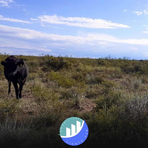 Imagen 3 de 9 de Vendó Campo De 6153 Hectáreas A80 Km De Algarrobo Del Aguila