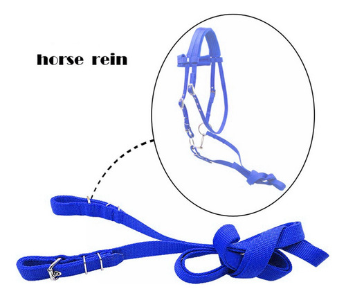 Brida De Nylon Para Montar A Caballo Azul L
