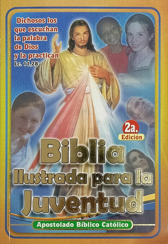 Biblia Ilustrada Para La Juventud 