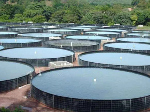 50mts Plástico Geomembrana Cisterna Cal2000 Ancho 5m