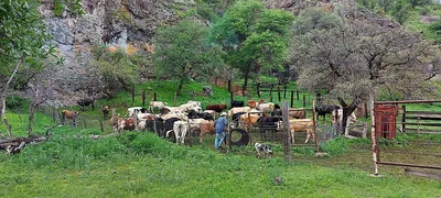 Rancho en venta