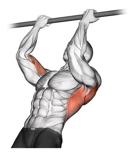 Barra Fixa De Parede Crossfit Pull-up Modelo Externo Interno