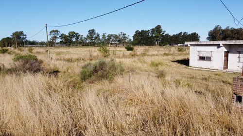 Imagen 7 de 8 de Chacra En Venta En Zona Producción Hortícola La Plata