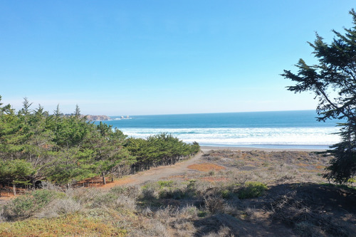 Desarrollo Inmobiliario Frente Al Mar En Punta De Lobos