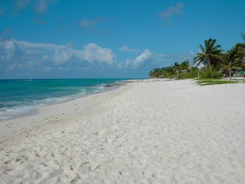 Imagen 2 de 5 de Terreno En Venta Para Desarrollos Turisticos En Playa Del Ca