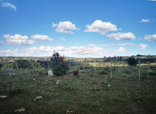 Campo Ganadero En Venta En Maldonado, A 60 Km De Punta Del Este- Ref: 26296