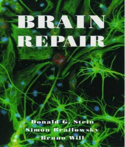 Libro Brain Repair - Donald G. Stein