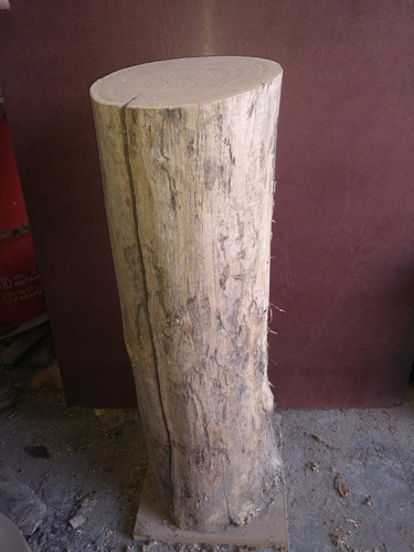 Tronco,columna, Pedestal, Rascador, Paraíso. Ciprés, Ficus