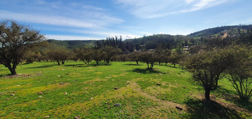 Vendo Linda Parcela A 15 Minutos Ruta 68 Orozco, Los Molles.