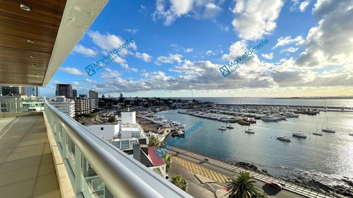 Imagen 8 de 28 de Puerto Punta - Piso Alto