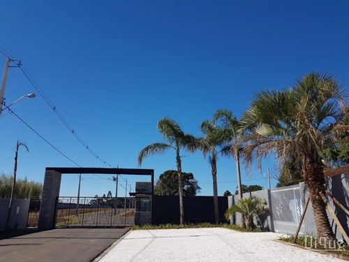 Imagem 6 de 11 de Lote Residencial - São José Dos Pinhais - Te0139 - Te0139 - 32933966