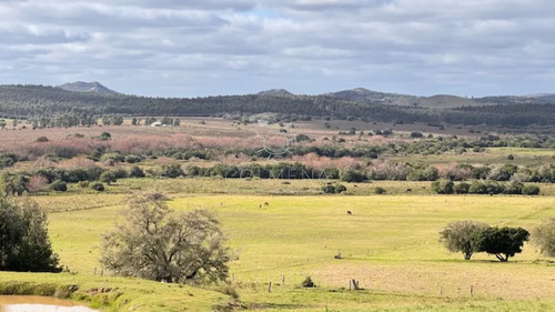 Se Vende Chacra 5 Has En Campanero En Un Alto Con Buena Camineria.