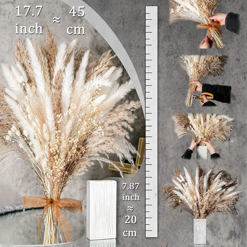 Imagen 3 de 7 de Ramo De Flores Secas De Pampas Secas Naturales Para W, 100 U