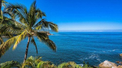 Imagen 13 de 30 de La Mejor Vista En La Playa Mas Hermosa