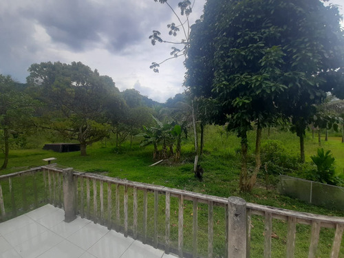 Imagem 13 de 15 de Cod.830 Sitio Com 34mil M² No Parque Capivari - 12579