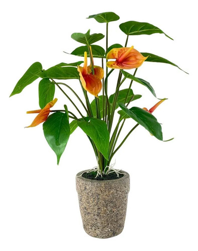 Anturio Naranja + Semillas De Regalo