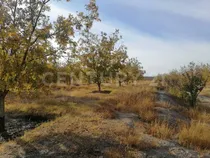 Comprar Terreno Rústico En Venta En Ej. San Lorenzo Mpio. De Parras Coah.