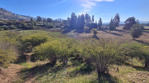 Campo De 19,2 Ha, Orillas Del Río Mataquito. Id 50.661-cam