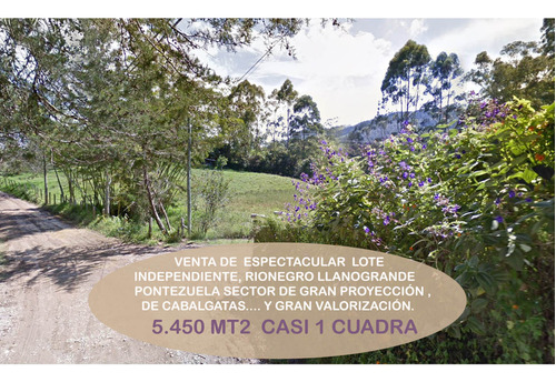 Venta Lote Independiente Rionegro Llanogrande Ponezuela Caballos