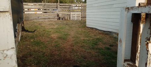 Se Vende Sitio En Cañete, Cesión De Derechos, 1.000 Mts2