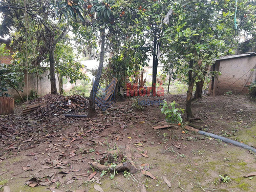 Imagem 4 de 4 de Casa Com 2 Dormitórios À Venda Com 42000m² Por R$ 240.000,00 No Bairro Campo Pequeno - Colombo / Pr - Mcs-0351