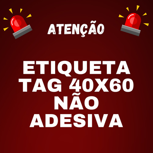 Etiqueta Tag 40x60 Couchê Não Adesiva 30 Rolos + 20 Ribbons Cor Branco
